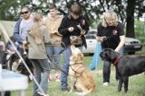 Oleśnica: Dobre relacje z psami leżą nam na sercu 