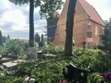 Kujawsko-Pomorskie. Połamane drzewa, zniszczony cmentarz, zalane drogi. Ulewy wyrządziły sporo szkód w regionie
