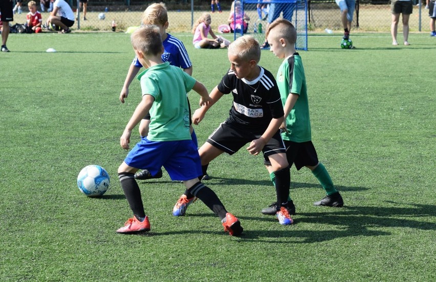 Poziom sportowy turnieju stał na wysokim poziomie. Głównie...