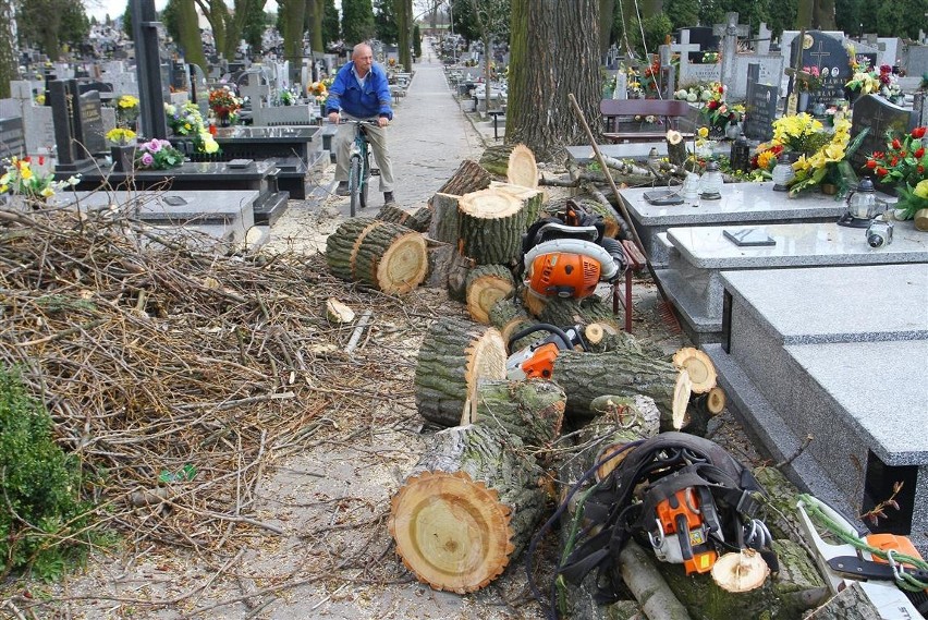 Zarządca cmentarza tłumaczy, że wycinane drzewa były chore