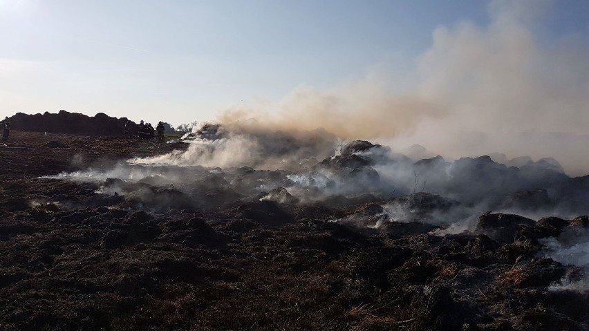 Pożar stogów słomy w Żywocinie (gmina Wolbórz)