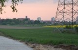 "Mieszkanie Plus" w Malborku? Wiceburmistrz informuje, że miasto ma szansę na 11 hektarów ziemi od byłej ANR