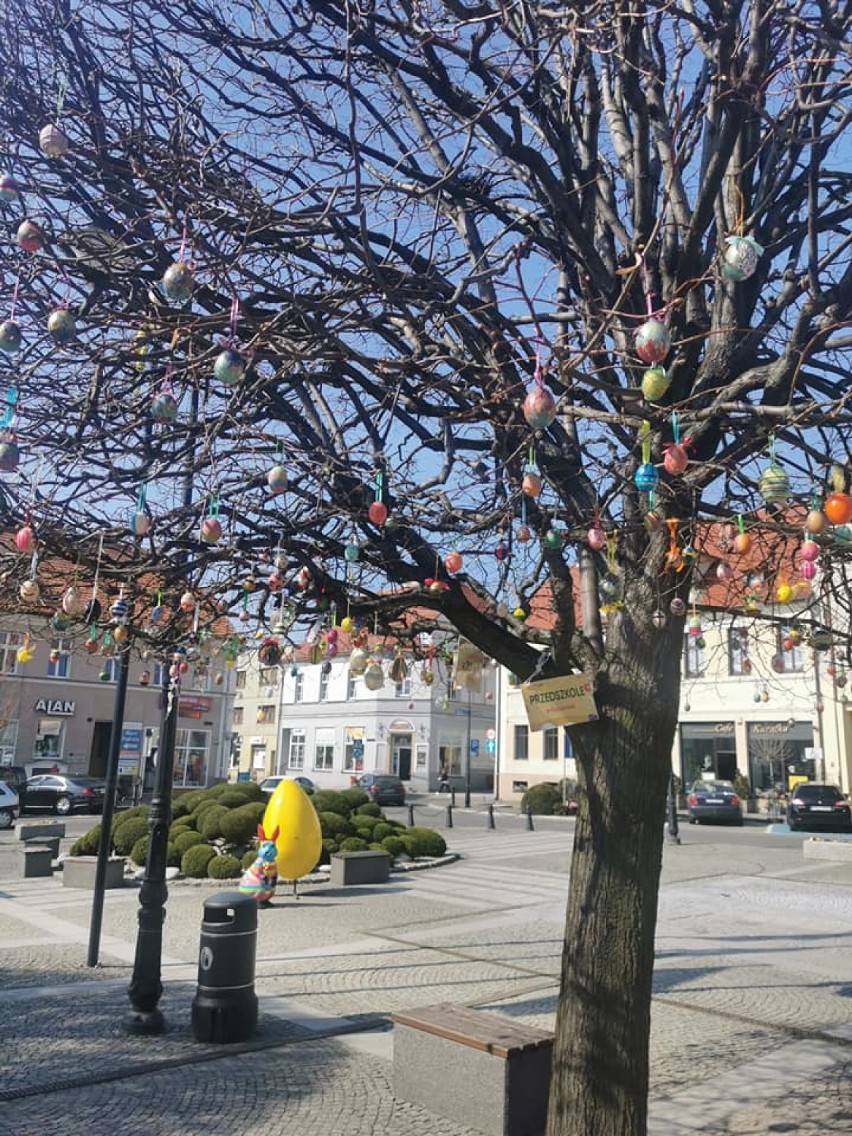 Pleszew. Na drzewach w rynku pojawiły się kolorowe jajka