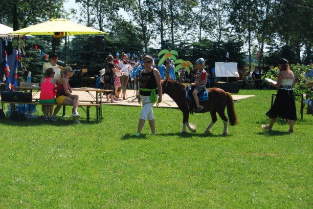 Luzak na Wyspie Piratów w Chełmnie