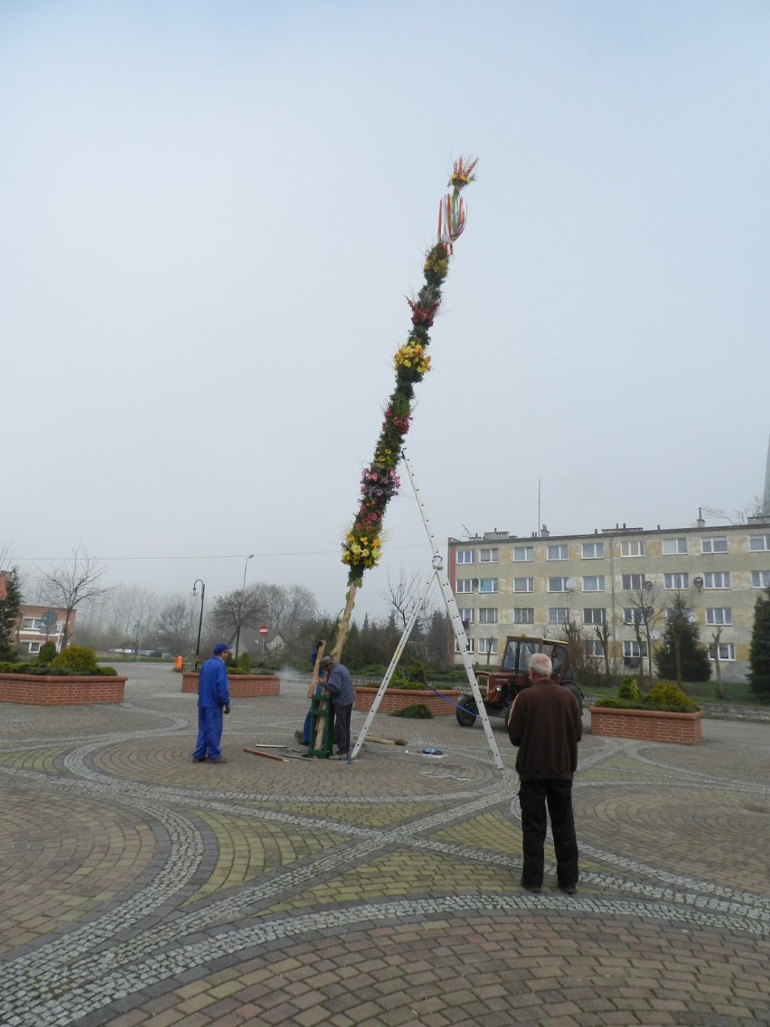 Ustawianie palmy na debrzneńskim Rynku