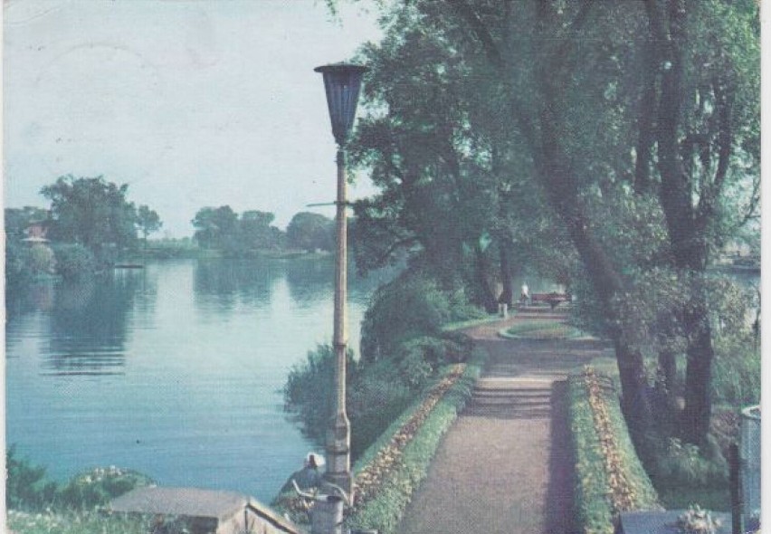 Wojewódzki Park Kultury i Wypoczynku, 1965 r.