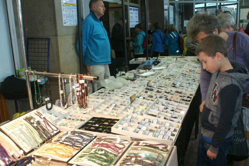 Giełda minerałów i skamieniałości w Sosnowcu