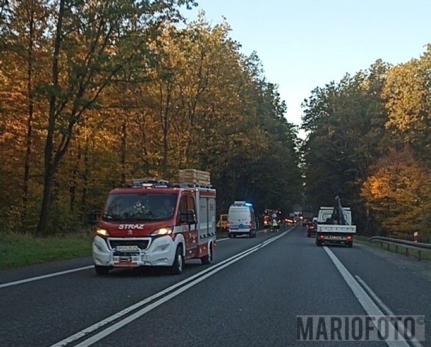 Wypadek ma DK 46. Kierowca osobówki zjechał na przeciwległy pas, a następnie w drzewo