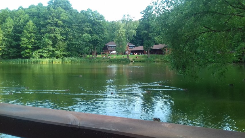 W Górznieńsko-Lidzbarskim Parku Krajobrazowym na turystów...