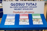 Program społeczny "Decydujesz, pomagamy" w Toruniu. Sprawdź na co możesz zagłosować!