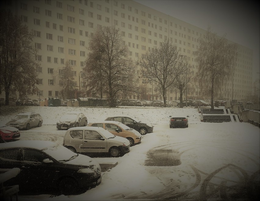 Ale piękna zima w Jastrzębiu-Zdroju