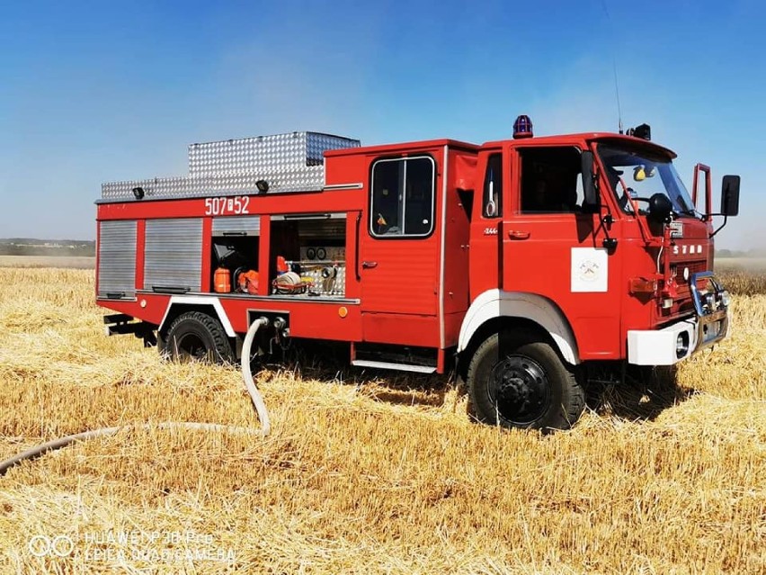 Groźny pożar pola w Skrzydlewie. Z pożarem walczyło 6 zastępów