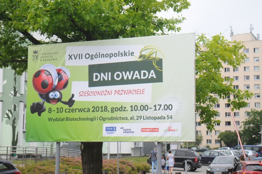 Dni Owada. Specjaliści podpowiedzieli, jak projektować ogrody dla motyli