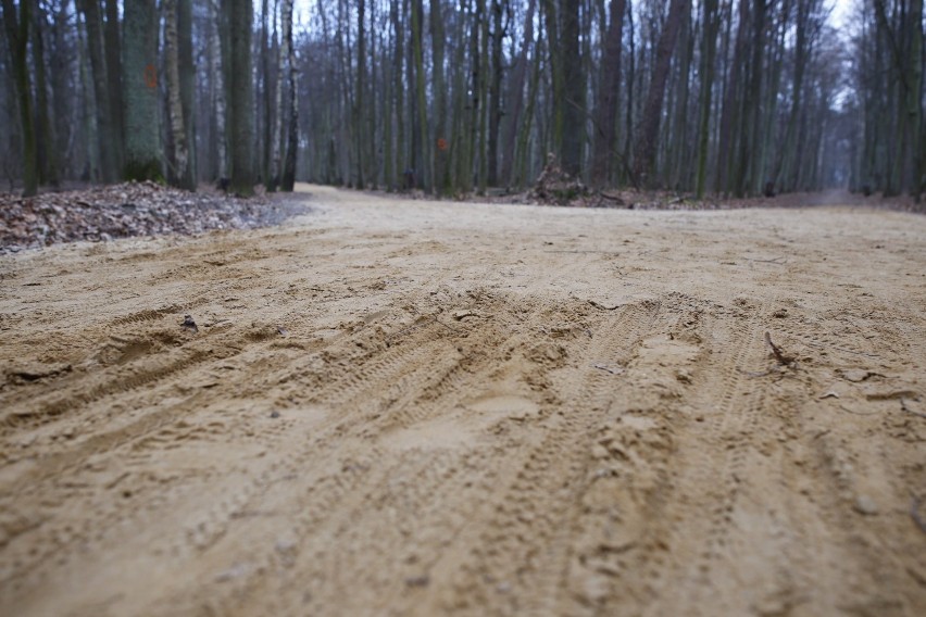 Ścieżki w Lesie Kabackim przysypano piaskiem. Mieszkańcy Ursynowa oburzeni: ''Pod tym piachem pewnie świeżo ułożona kostka!''