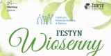 Wiosenny festyn w Zabrzu na Kąpielisku Leśnym! Bezpłatny udział i wiele atrakcji dla rodzin z dziecmi. Sprawdź, jak się zgłosić 