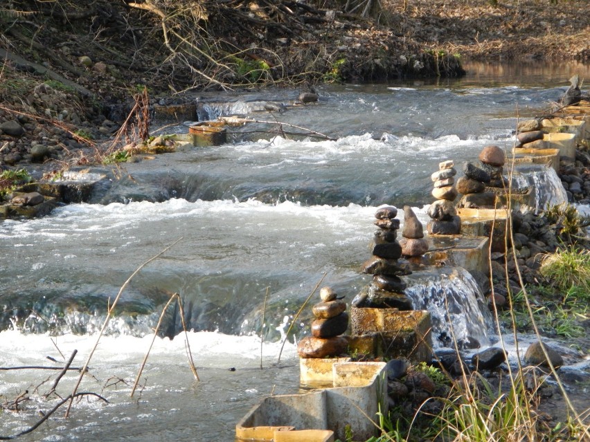 Trasa Struga Zielona do miejscowości Jarki w Kujawsko-Pomorskiem [opis]