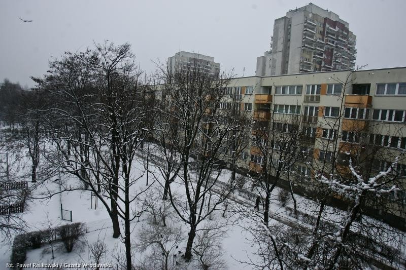 Śnieg i deszcz we Wrocławiu (PROGNOZA, FILM, ZDJĘCIA)
