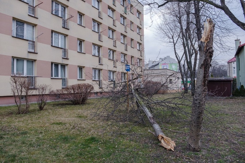 Krajobraz Tarnowa po nocnej wichurze [DUŻO ZDJĘĆ]