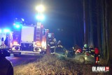 Wypadek w Oławie. Samochód uderzył w drzewo, ranna kobieta z dzieckiem [zdjęcia]