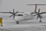 Jak samoloty pozbywają się lodu we Wrocławiu [zdjęcia MM-kowicza]