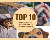 TOP 10 najlepszych weterynarzy w Trójmieście. Gdzie badać i leczyć swojego pupila w Gdańsku, Gdyni i Sopocie? Oto lista!