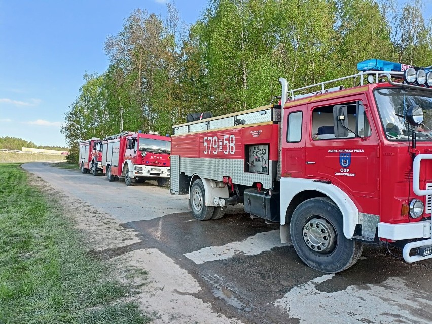 Pożar lasu w Porębach w gminie Zduńska Wola   