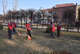 Wiosenne prace na terenach zielonych w Grudziądzu