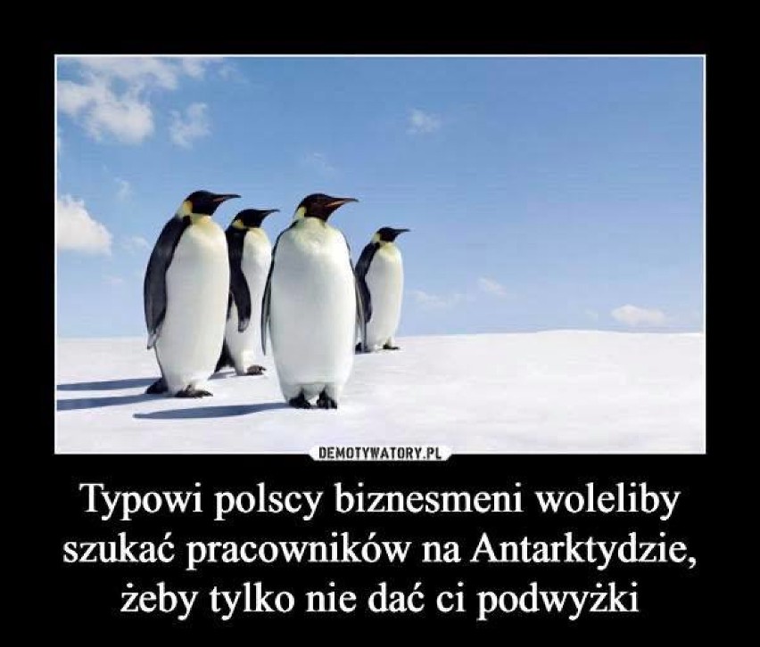 Dzień Ćwiczenia Przed Lustrem Prośby o Podwyżkę Płacy. Tak, to dzisiaj! Zobaczcie najśmieszniejsze MEMY [zdjęcia]