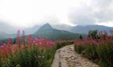 Weekendowy i kolorowy spacer w Tatrach [ZDJĘCIA]
