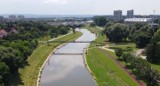 Rzeszów. Estakady dla spacerowiczów i rowerzystów nad Wisłokiem? Taki jest pomysł [WIDEO]