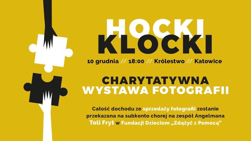 Charytatywna wystawa fotografii "Hocki klocki"