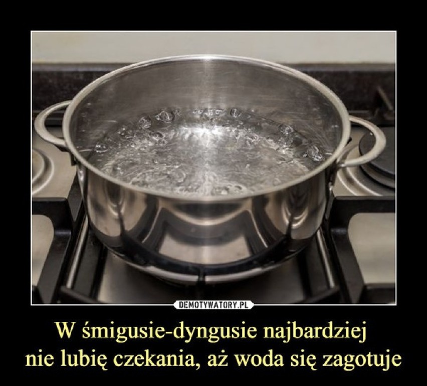 Lany poniedziałek w MEMACH. Śmigus-dyngus na wesoło. Święta wielkanocne z humorem i dystansem - zobacz memy