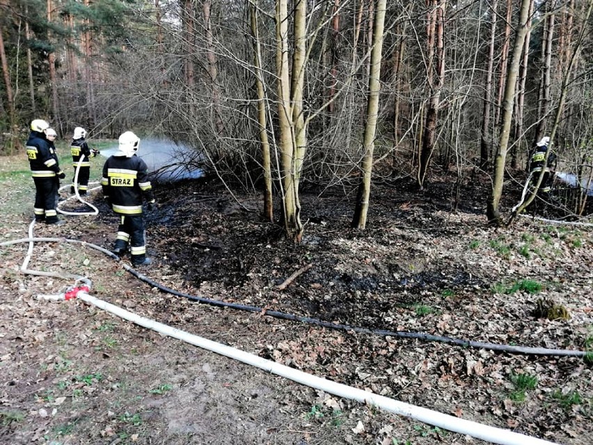 Trwa głosowanie w plebiscycie Strażak Pomorza. W powiecie kwidzyńskim prowadzi Ochotnicza Straż Pożarna w Ryjewie 