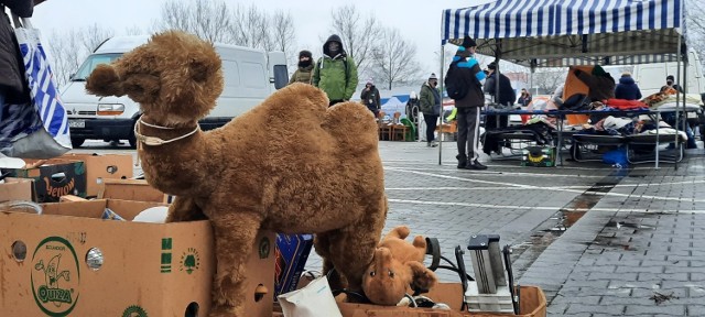 W niedzielę, 24 stycznia, ruch był mniejszy niż zwykle. Wszystko przez pogodę.