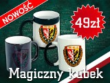 Piłka nożna: Magiczny kubek Śląska Wrocław już dostępny