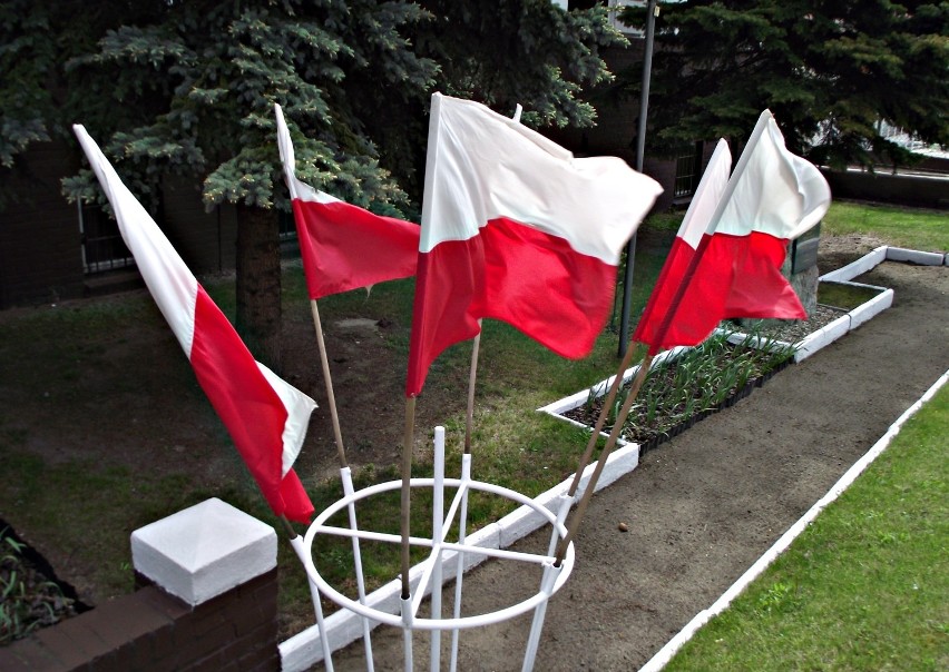 Start! Jak wyglądają wybory samorządowe w liczbach