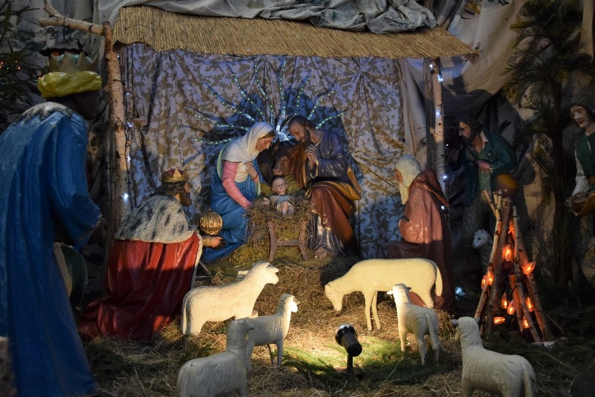Szopka Bożonarodzeniowa w Rybniku w Bazylice