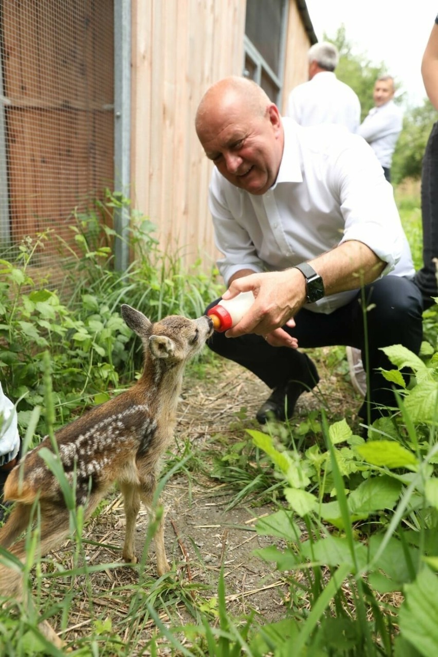 Azyl dla dzikich zwierząt w Łubnianach otrzymał 50 tys....
