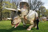 Rzęsa Siemianowice: Na Rzęsie powstanie Park Jurajski! Będziemy mieli swoje dinozaury!