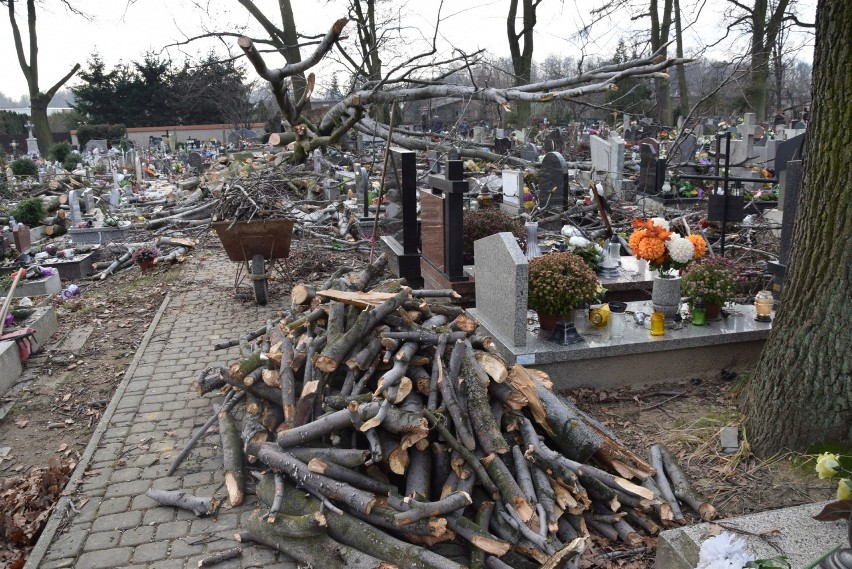 Zniszczone nagrobki na cmentarzu Wszystkich Świętych w...