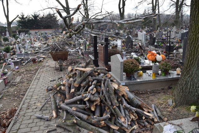 Zniszczone nagrobki na cmentarzu Wszystkich Świętych w Pszczynie