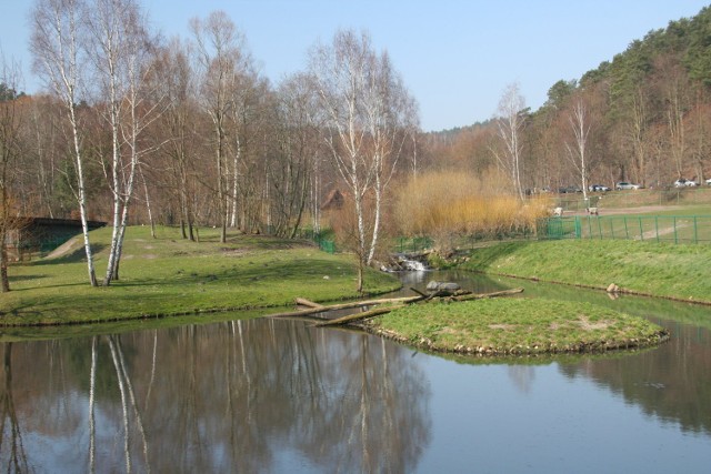 Zoo w Gdańsku zajmuje parkowo-leśny teren o powierzchni 100 ha, przecięty wodami Potoku Rynaszewskiego. Fot. Ewa Kowalska