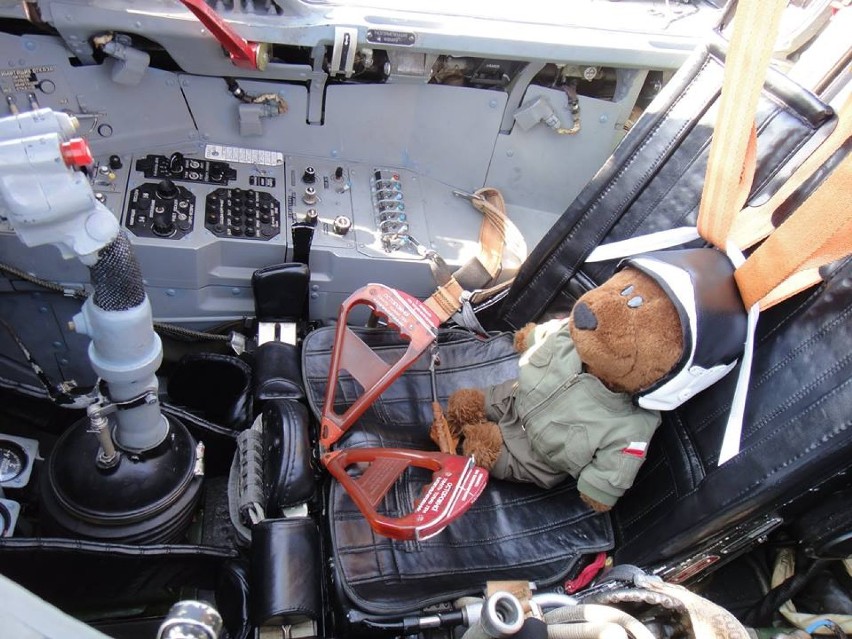 Boguś Niedźwiedź - akcja pilotów z Malborka. Latający miś z 22 BLT 