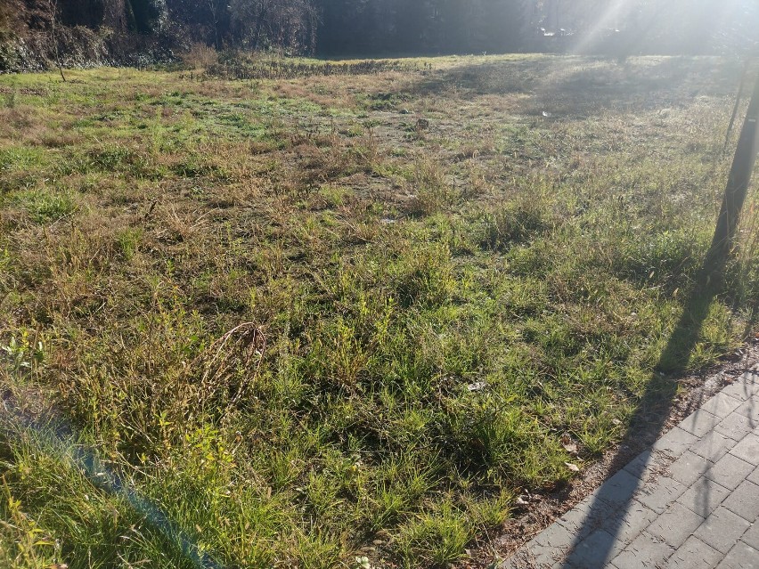 Tak, po kilku miesiącach od otwarcia, wygląda park...