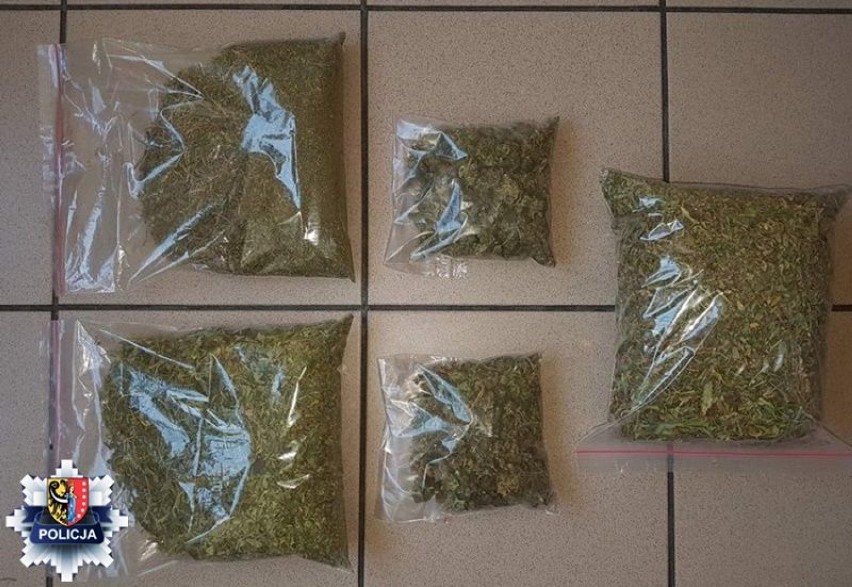 Policjanci zlikwidowali dwie plantacje marihuany, które pozwoliłyby na produkcjeę 14 tysięcy porcji narkotyku