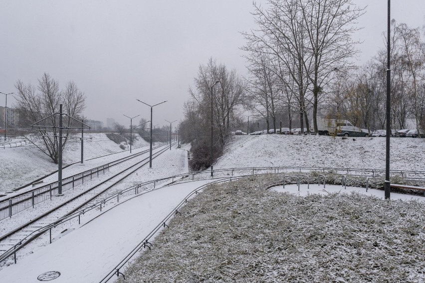 Śnieg zasypał Poznań w niedzielny poranek....