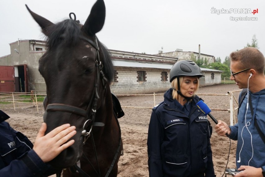 Epikur - nowy funkcjonariusz w częstochowskiej policji [konnej] ZDJĘCIA
