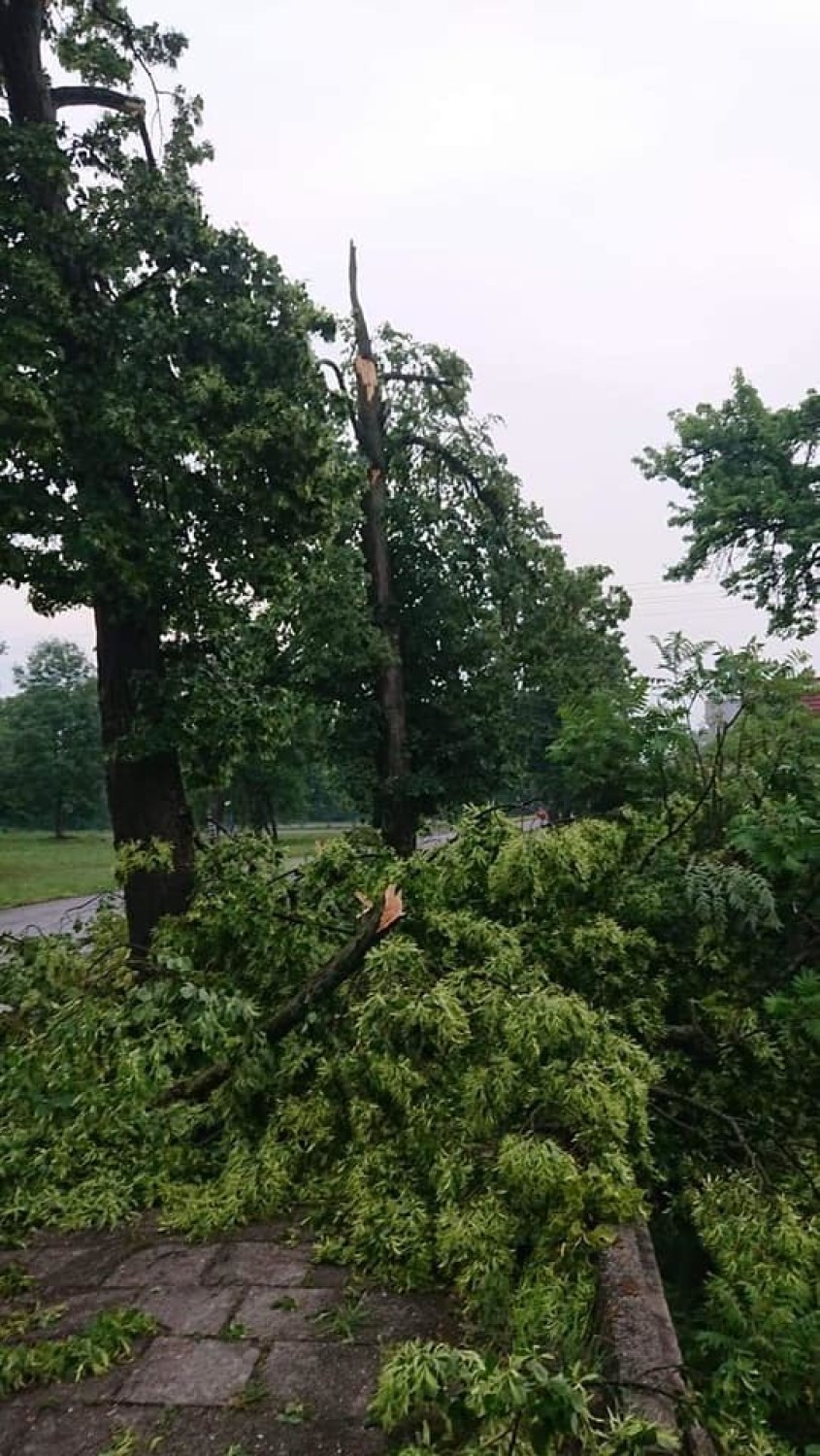 Strażacy z całego powiatu żarskiego, ze wszystkich jednostek...