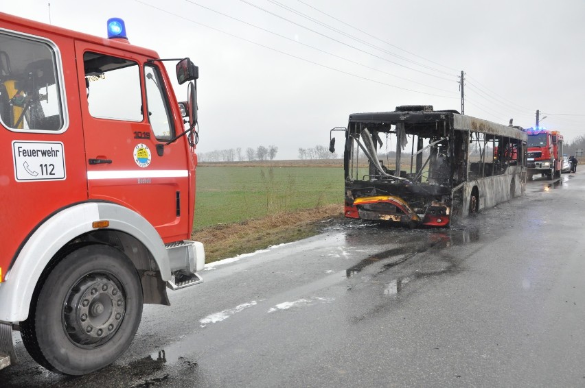 Doszczętnie spłonął autobus linii 180