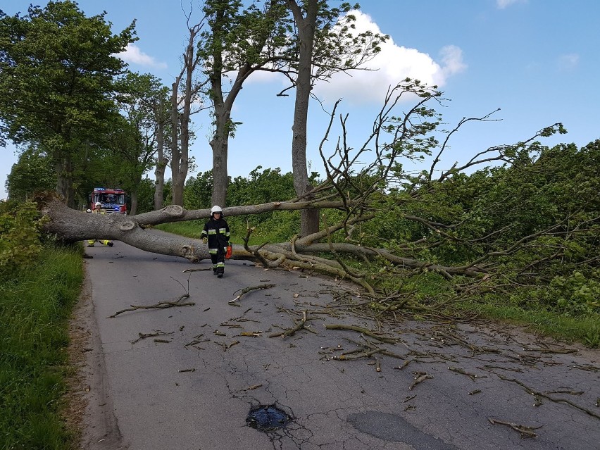 Wichura w powiecie puckim, maj 2017